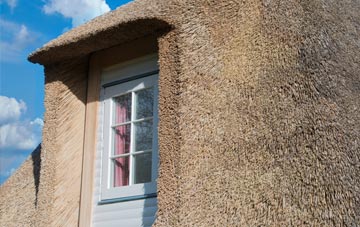 Kingbeare thatch roof disadvantages