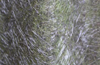 Kingbeare fibreglass roof work